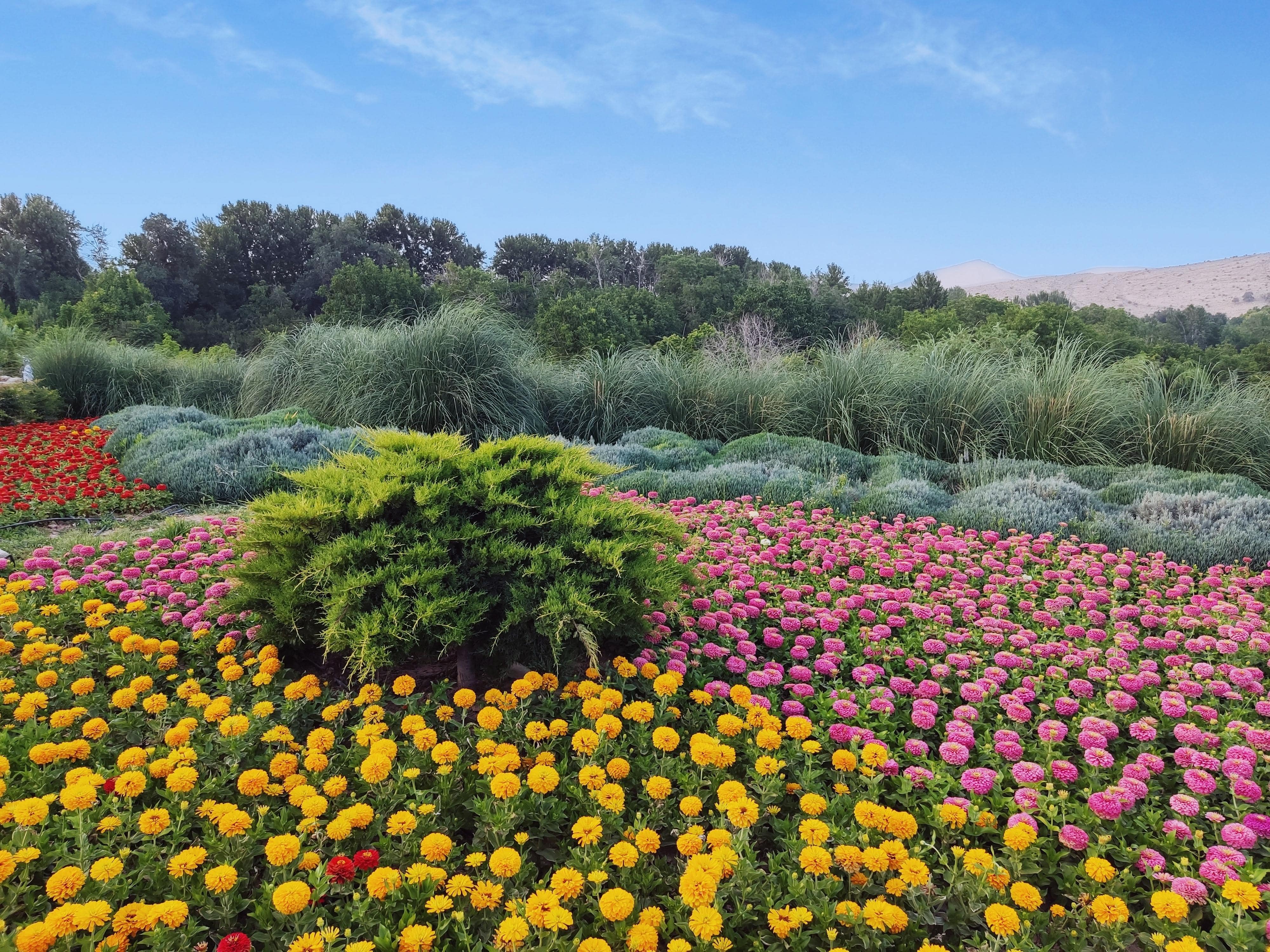 باغ گل های شیراز