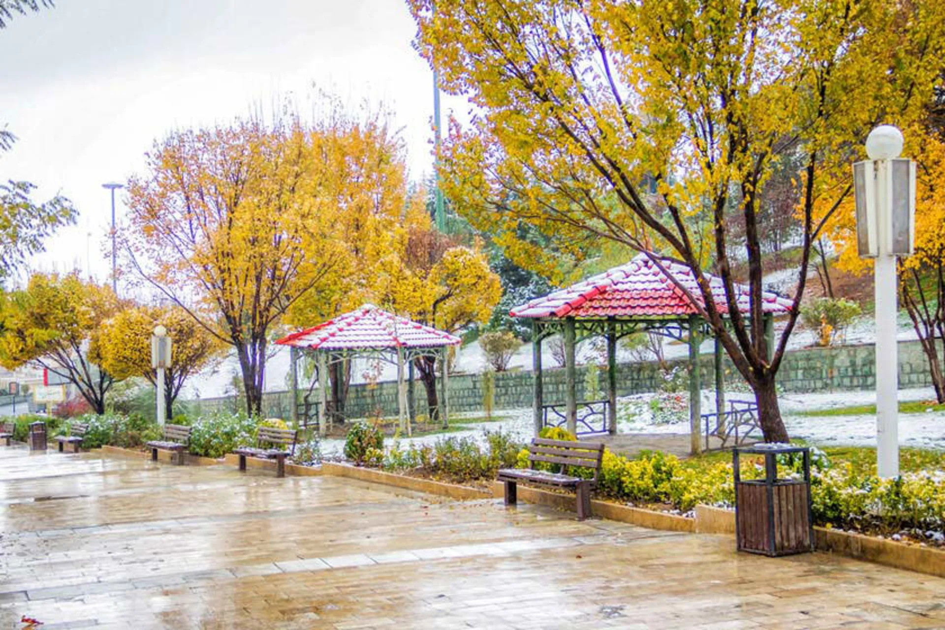 پارک پرواز تهران